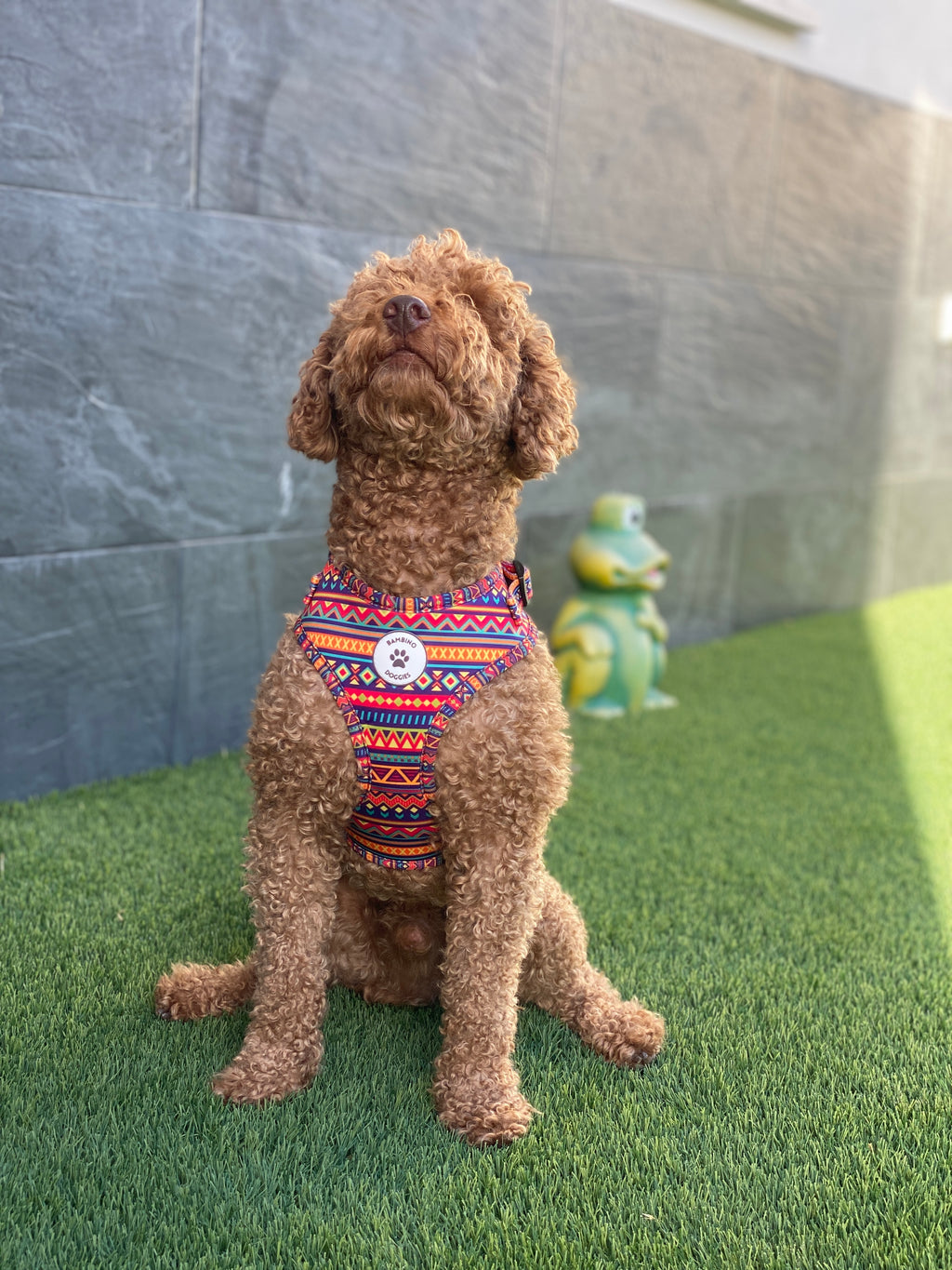 Arnés ajustable Etnic - BAMBINO DOGGIES