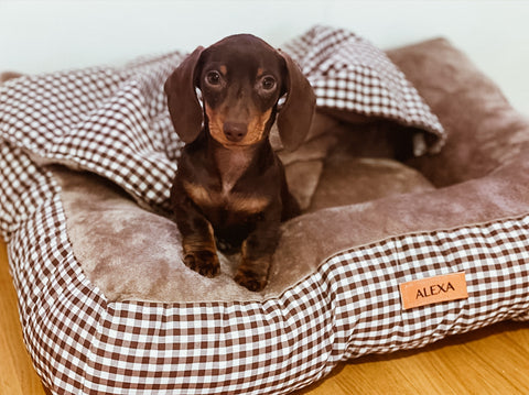 Cama para perros Vichy marrón