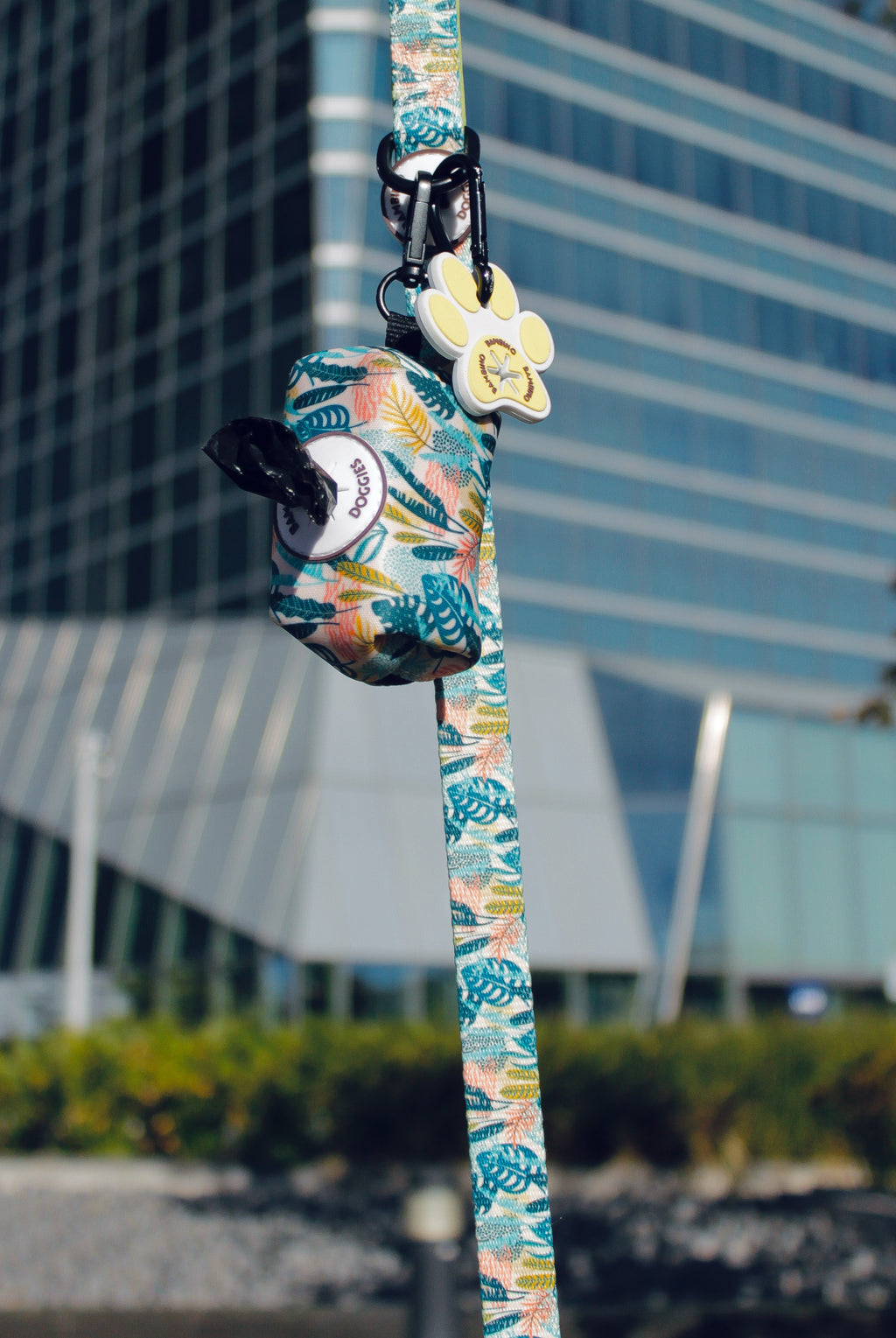 Correa Nature - BAMBINO DOGGIES