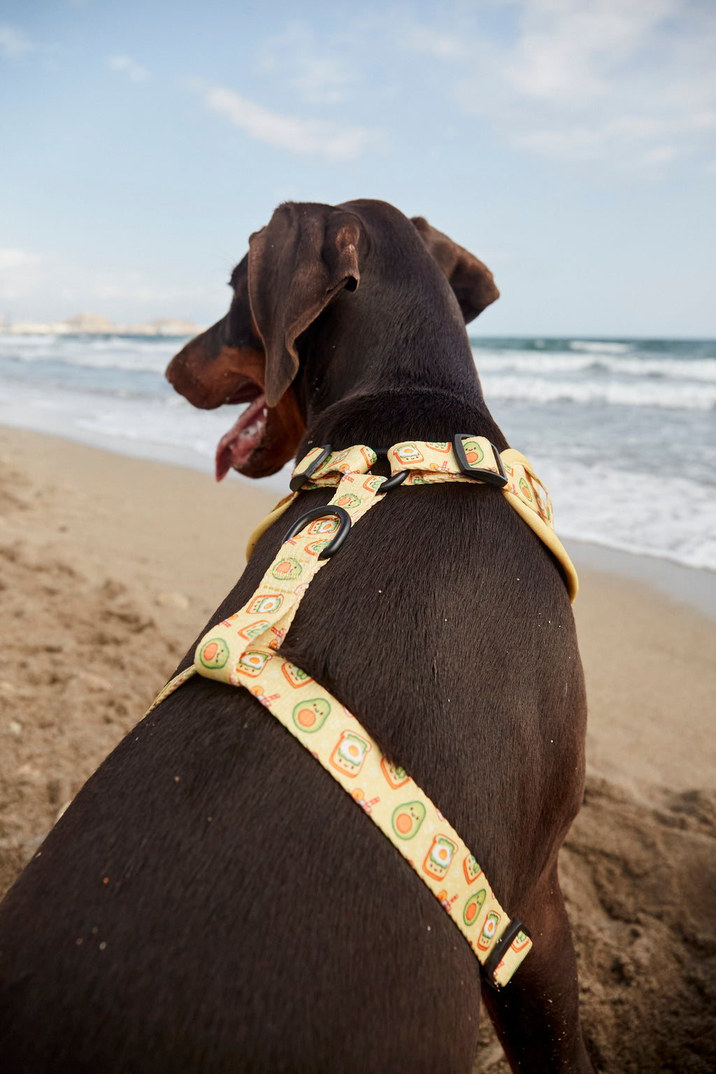 Arnés ajustable Breakfast - BAMBINO DOGGIES