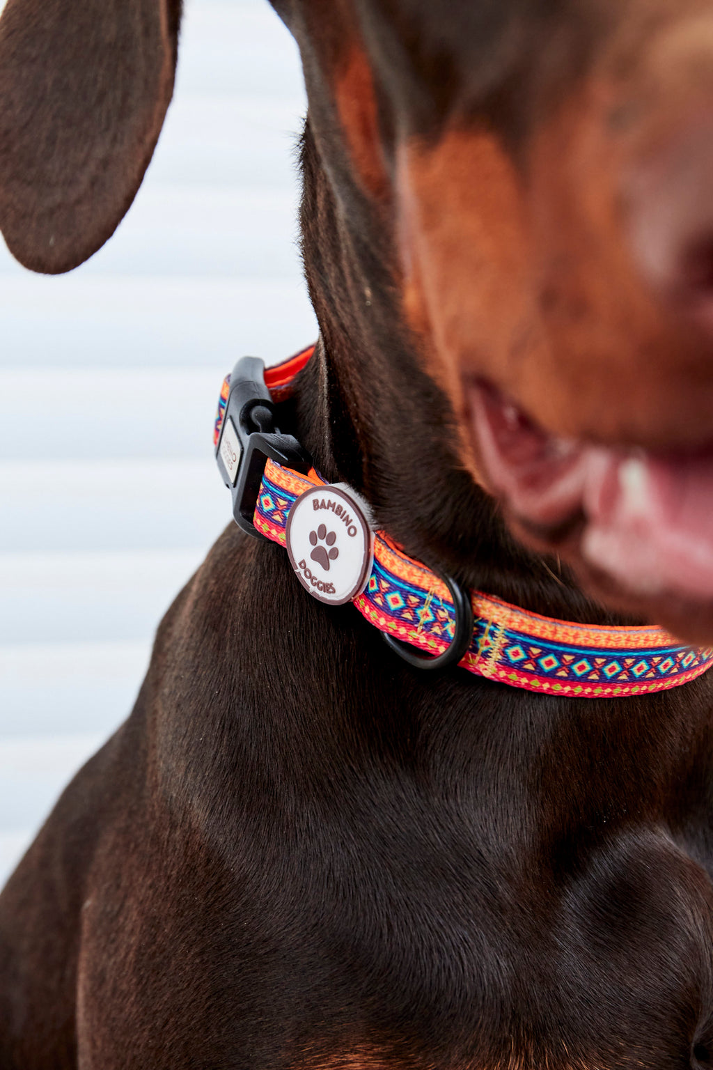 Collar Etnic - BAMBINO DOGGIES