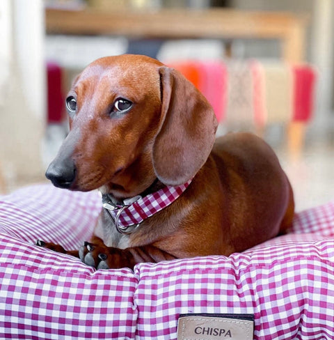 Cama para perros Vichy granate