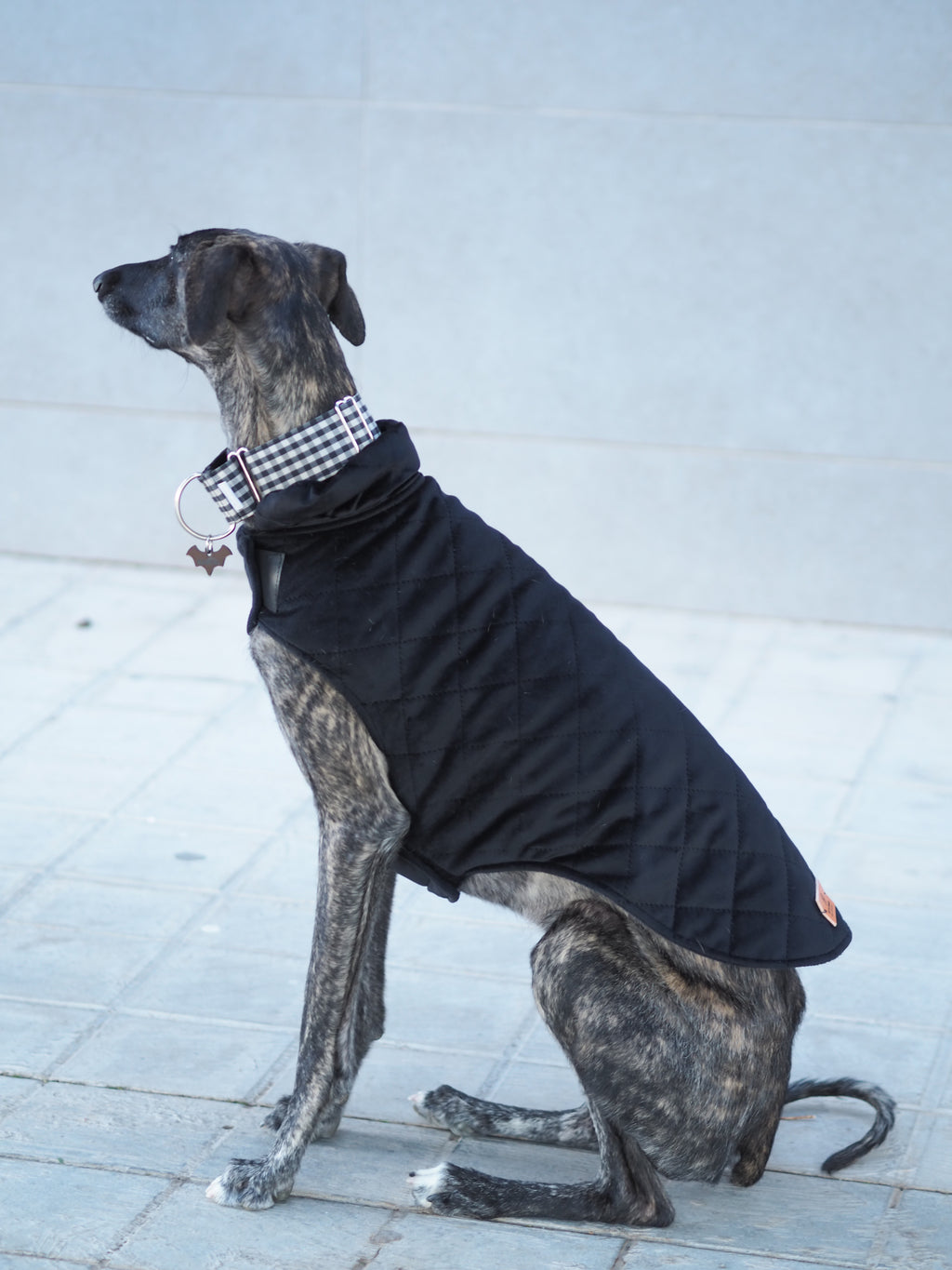 ABRIGO PARA PERROS NEGRO