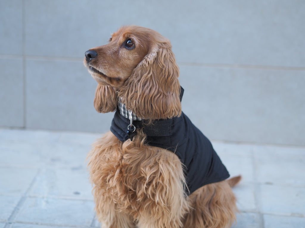 ABRIGO PARA PERROS NEGRO