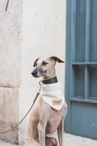 Bandana para perros - estilo gofrado