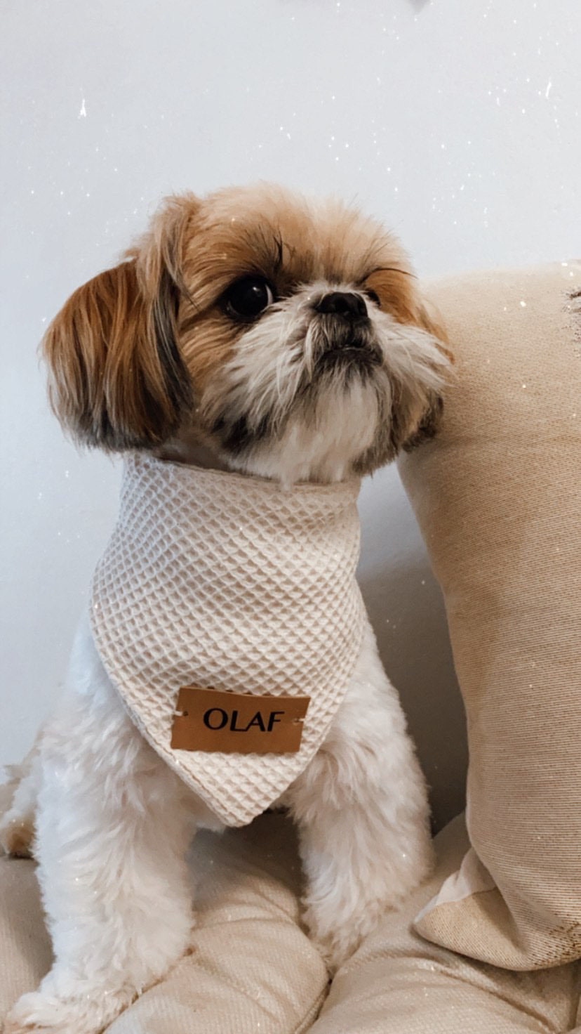 BANDANA PARA PERROS GOFRADA