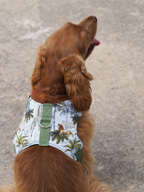 Arnés chaleco para perros Rey León